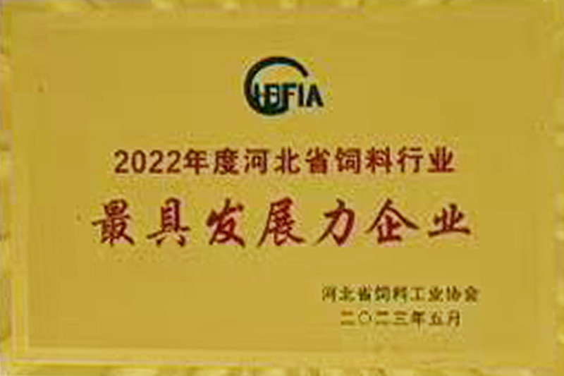 最具發(fā)展力企業(yè)