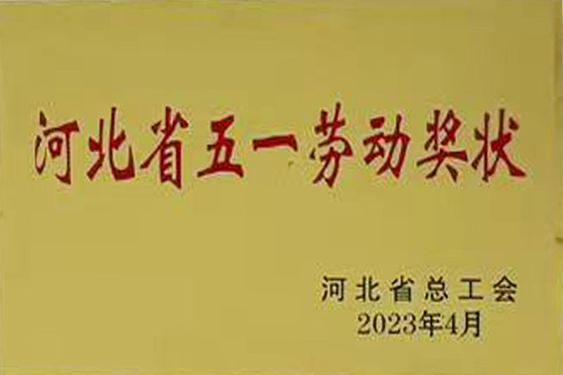 河北省五一勞動(dòng)獎(jiǎng)狀