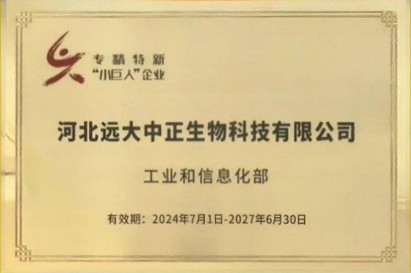 專(zhuān)精特新小巨人企業(yè)