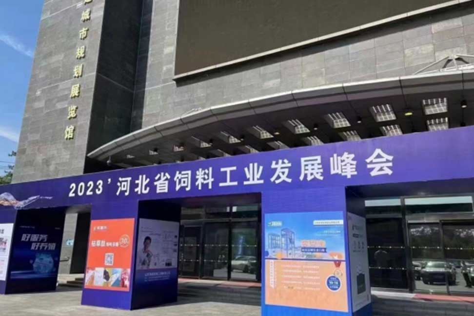 披沙見(jiàn)金，百煉成鋼